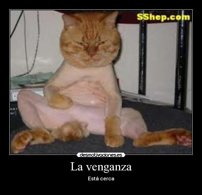 La venganza - Está cerca