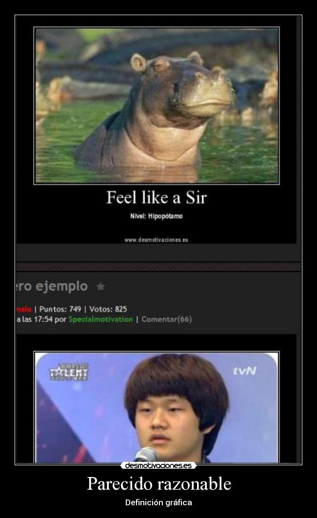 Parecido razonable - 