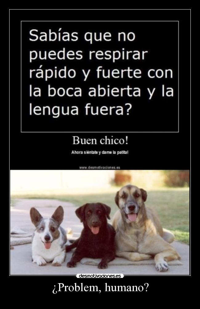 ¿Problem, humano? -