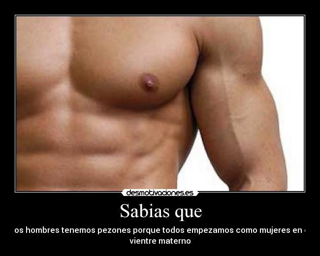 carteles pezones sabias mujeres walt_k desmotivaciones desmotivaciones