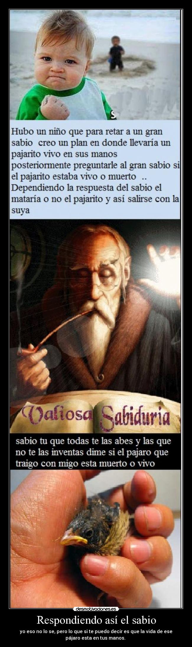 Respondiendo así el sabio -