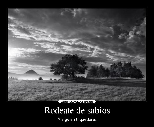 carteles chuck norris principal walt_k desmotivaciones rodeate sabios algo quedara mago humo desmotivaciones