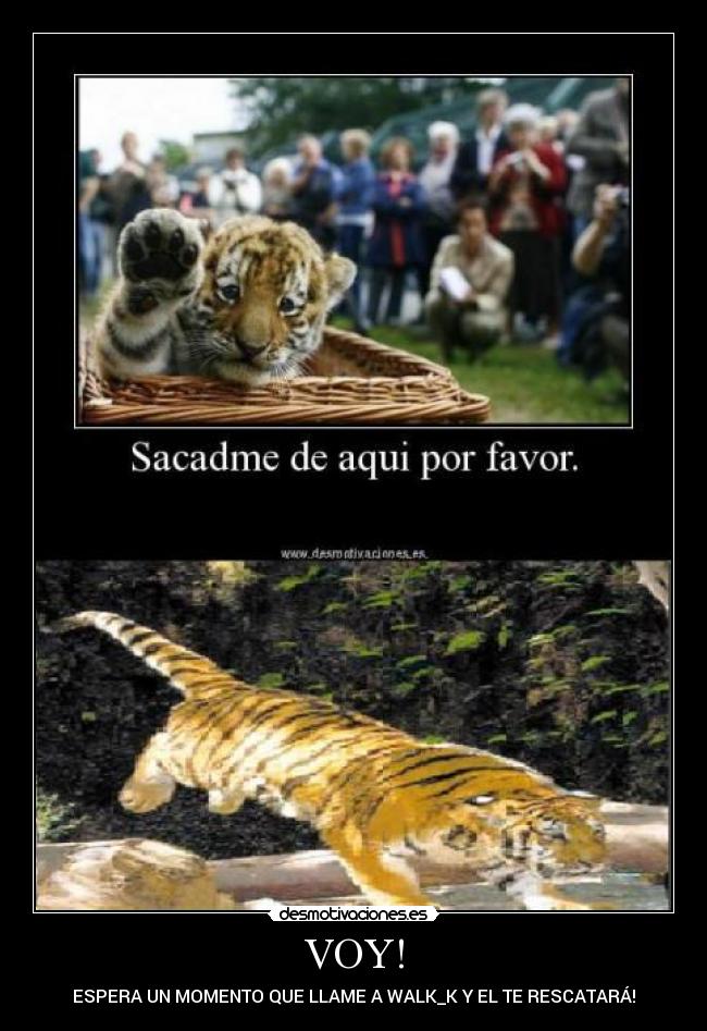 VOY! - ESPERA UN MOMENTO QUE LLAME A WALK_K Y EL TE RESCATARÁ!