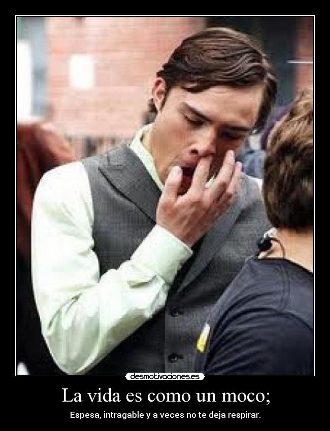 La vida es como un moco; - Espesa, intragable y a veces no te deja respirar.