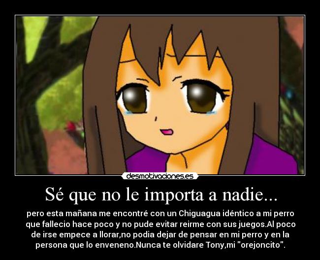 Sé que no le importa a nadie... -