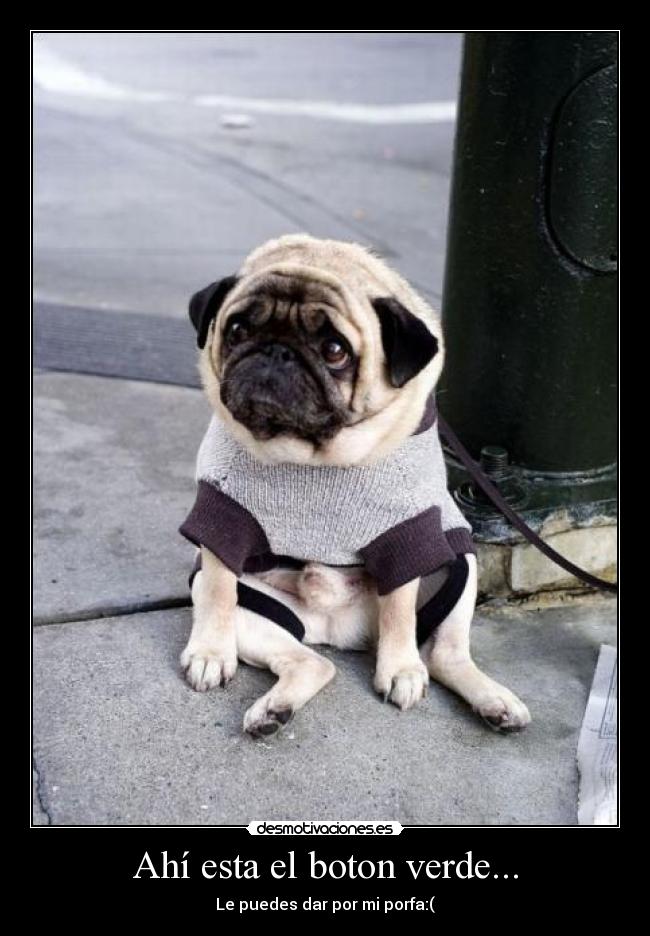 Ahí esta el boton verde... - 