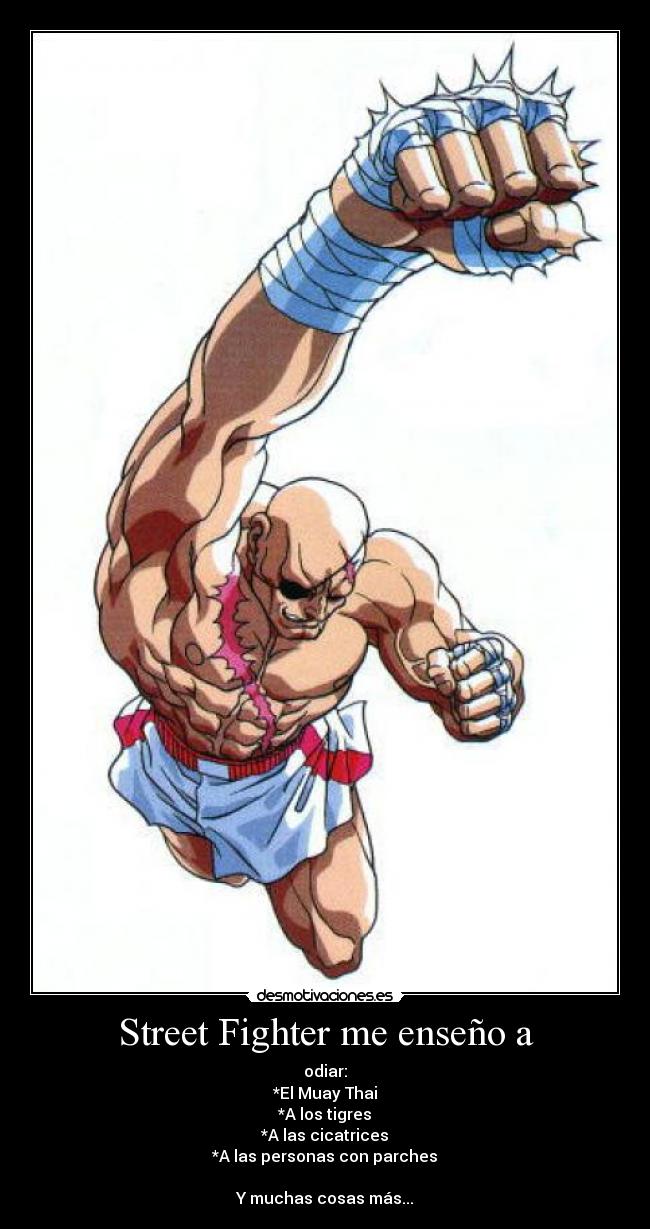 Street Fighter me enseño a - odiar:
*El Muay Thai
*A los tigres
*A las cicatrices
*A las personas con parches

Y muchas cosas más...