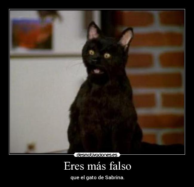 Eres más falso - que el gato de Sabrina.