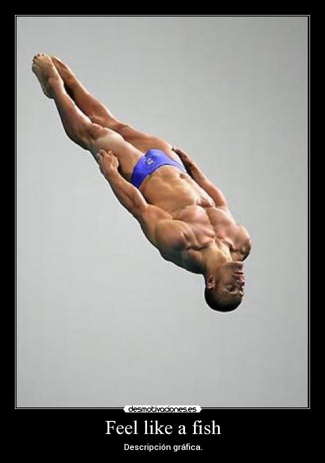 Feel like a fish - Descripción gráfica.