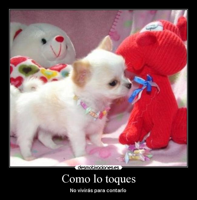 Como lo toques - No vivirás para contarlo