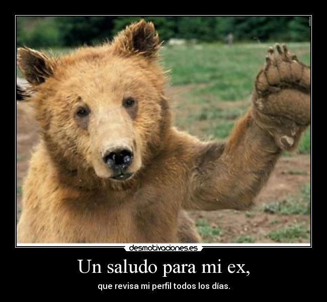 Un saludo para mi ex, - 