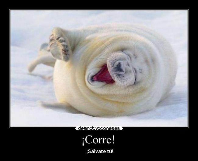 ¡Corre!  - 