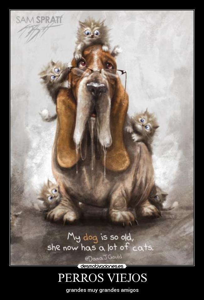 PERROS VIEJOS - grandes muy grandes amigos