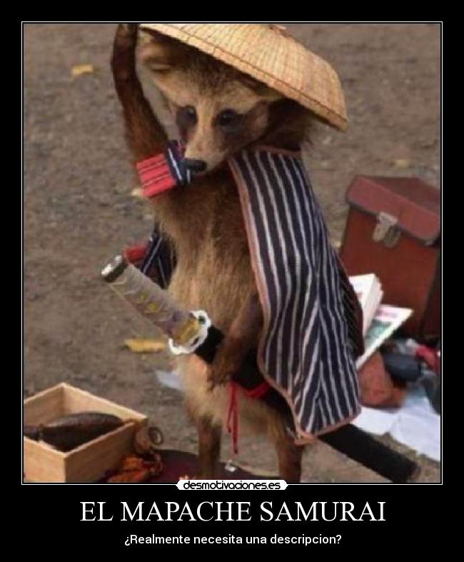 EL MAPACHE SAMURAI - ¿Realmente necesita una descripcion?