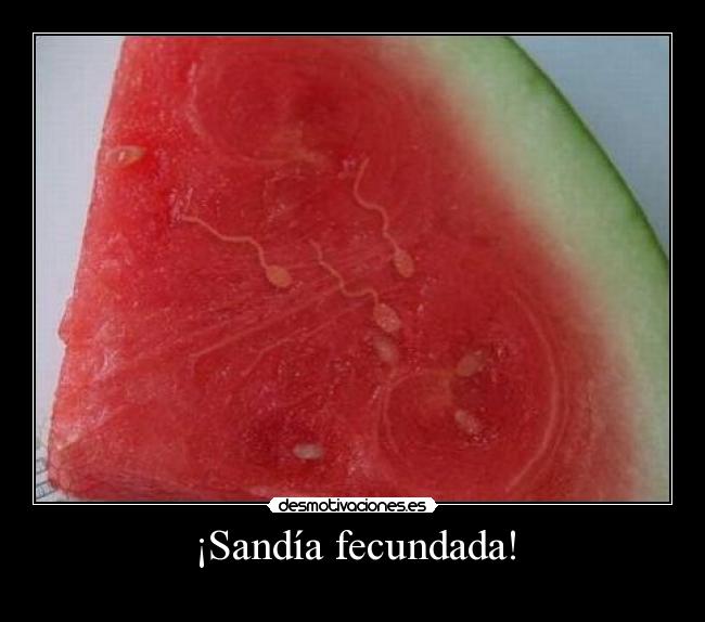 ¡Sandía fecundada! - 