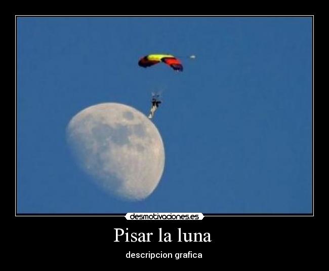 carteles bigdog desmotivaciones