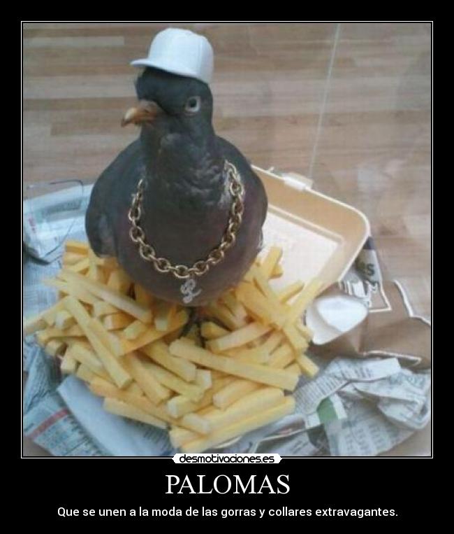 PALOMAS -