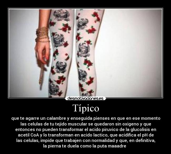 Típico - que te agarre un calambre y enseguida pienses en que en ese momento
las celulas de tu tejido muscular se quedaron sin oxigeno y que
entonces no pueden transformar el acido piruvico de la glucolisis en
acetil CoA y lo transforman en acido lactico, que acidifica el pH de
las celulas, impide que trabajen con normalidad y que, en definitiva,
la pierna te duela como la puta maaadre  
