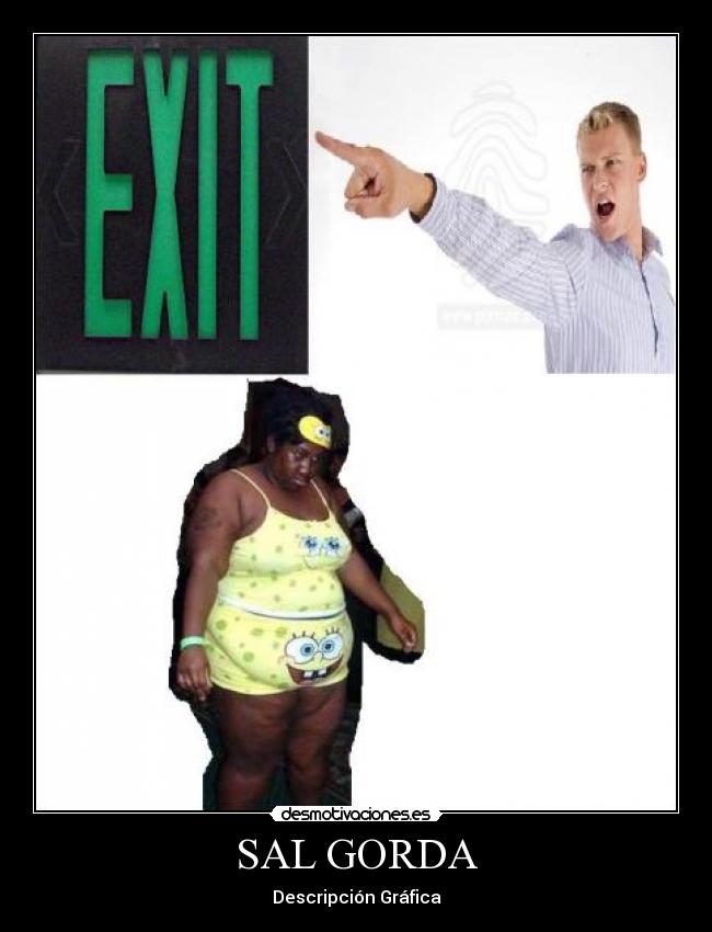 SAL GORDA - Descripción Gráfica