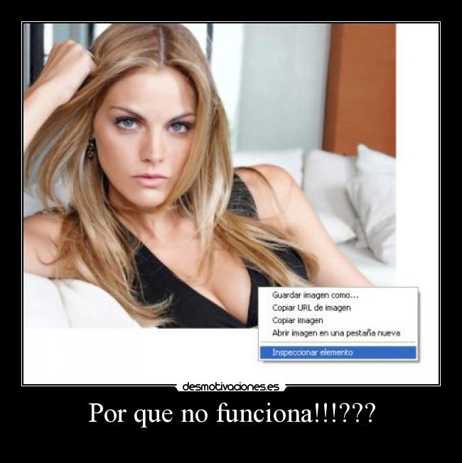 Por que no funciona!!!??? -