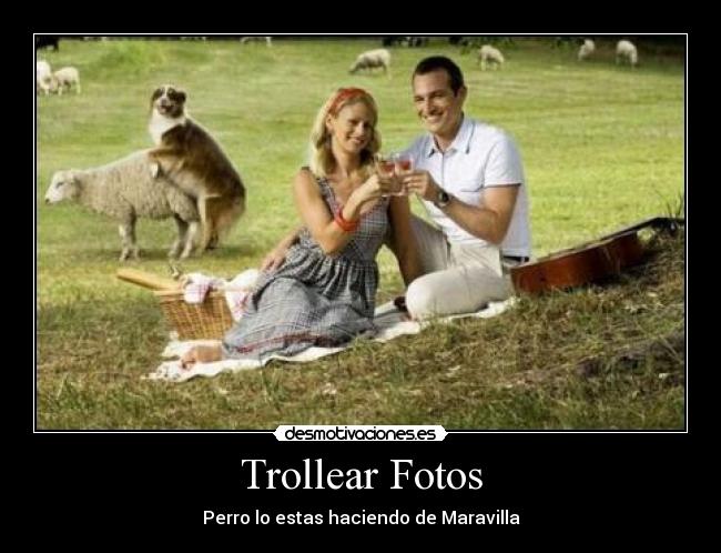 Trollear Fotos - 