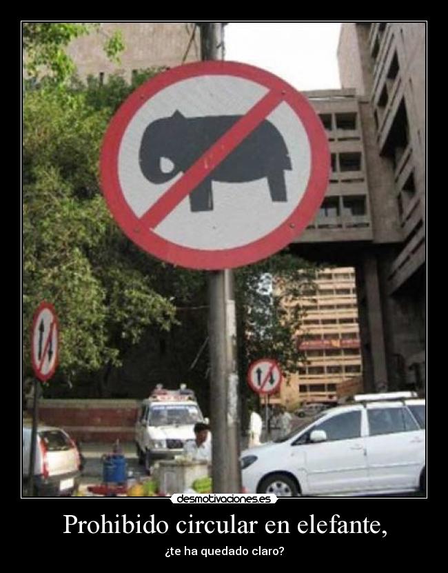 Prohibido circular en elefante, - ¿te ha quedado claro?