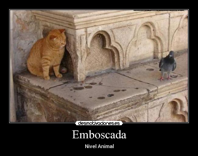 Emboscada -