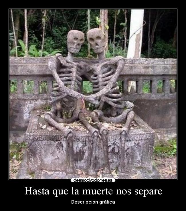 Hasta que la muerte nos separe - Descripcion gráfica