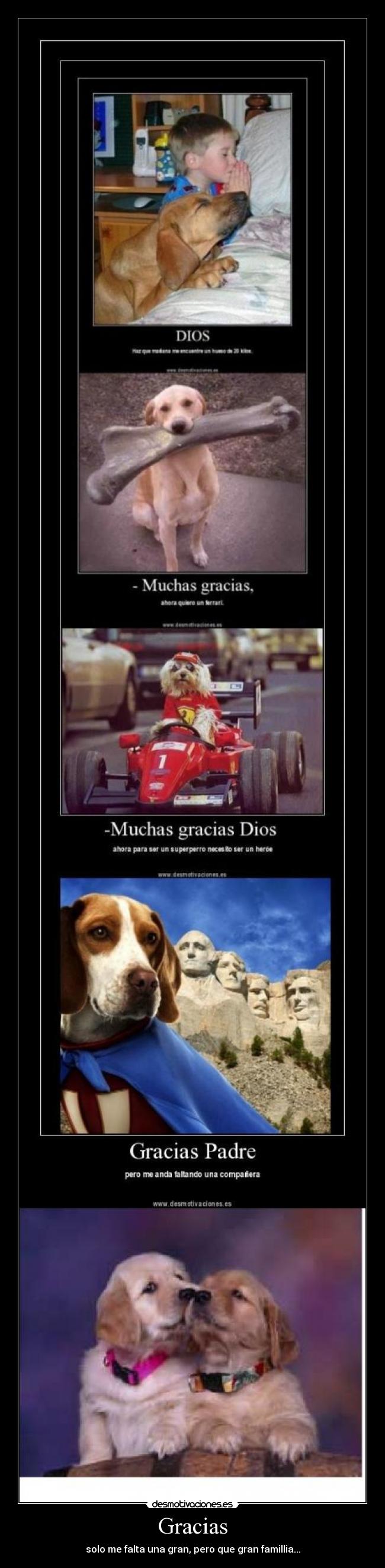 Gracias -