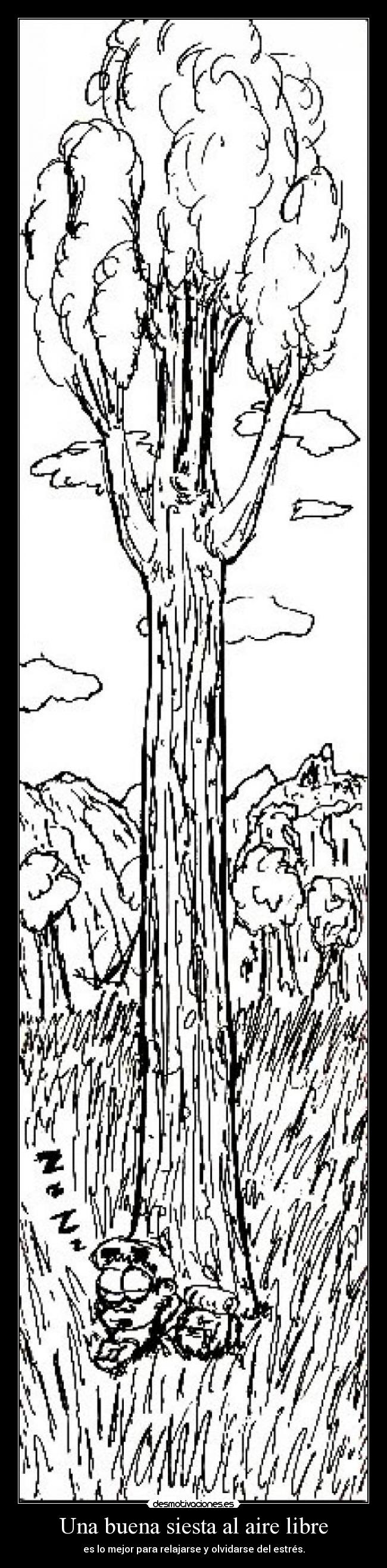 Una buena siesta al aire libre - es lo mejor para relajarse y olvidarse del estrés.