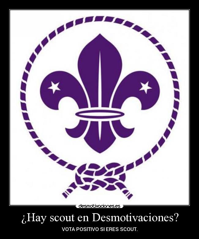 ¿Hay scout en Desmotivaciones? -