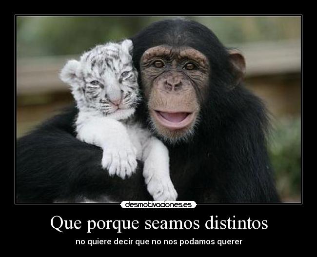Que porque seamos distintos -