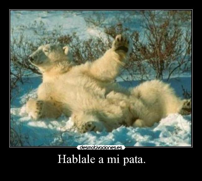 Hablale a mi pata. -