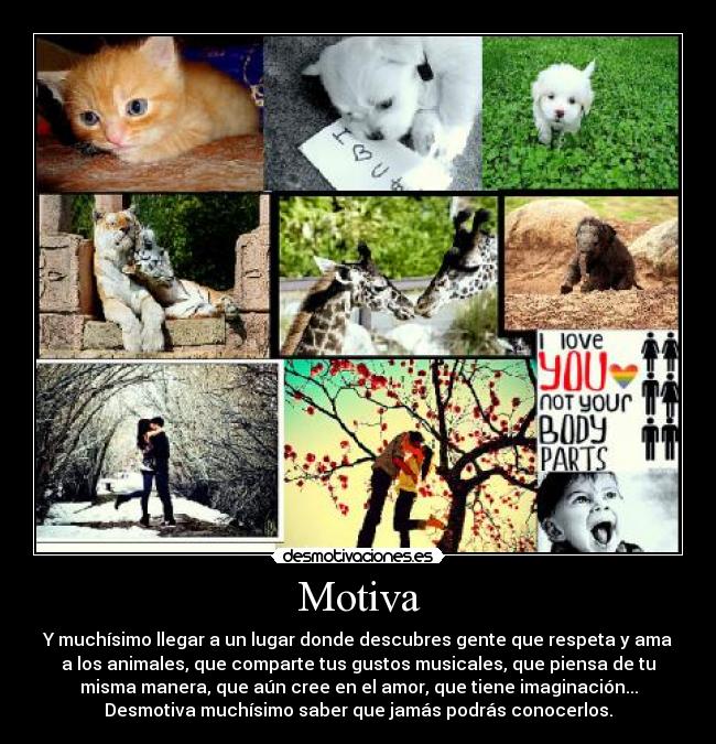 Motiva - Y muchísimo llegar a un lugar donde descubres gente que respeta y ama
a los animales, que comparte tus gustos musicales, que piensa de tu
misma manera, que aún cree en el amor, que tiene imaginación...
Desmotiva muchísimo saber que jamás podrás conocerlos.