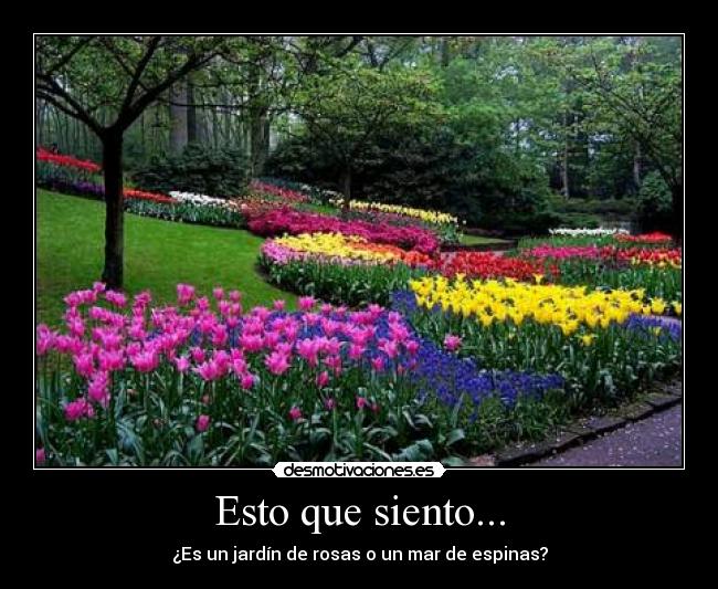 Esto que siento... -