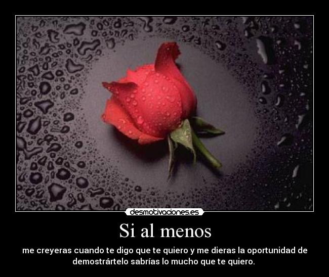 Si al menos - me creyeras cuando te digo que te quiero y me dieras la oportunidad de
demostrártelo sabrías lo mucho que te quiero.