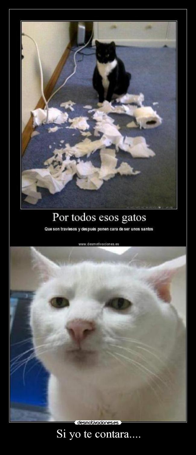 Si yo te contara.... -