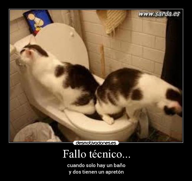 Fallo técnico... - cuando solo hay un baño
y dos tienen un apretón