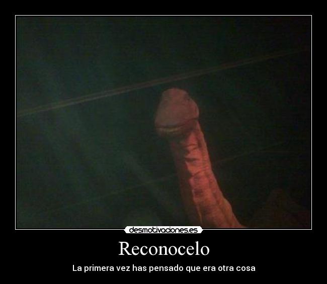 carteles dinosaurio desmotivaciones