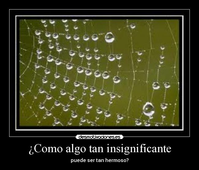 carteles como algo tan insignificante desmotivaciones