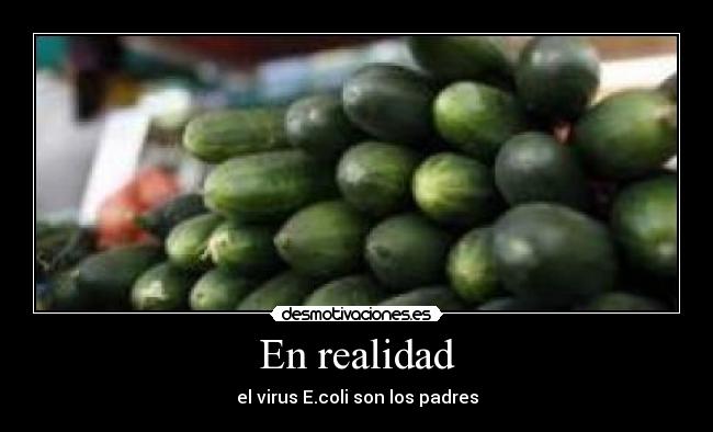 carteles dispot desmotivaciones