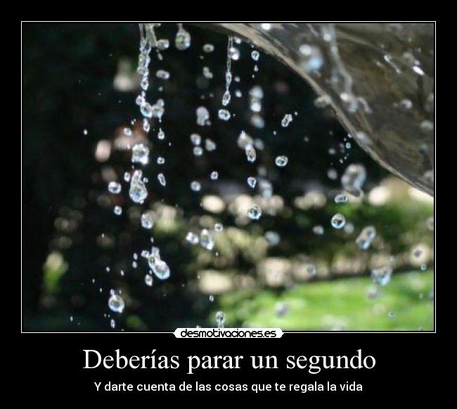 Deberías parar un segundo - Y darte cuenta de las cosas que te regala la vida