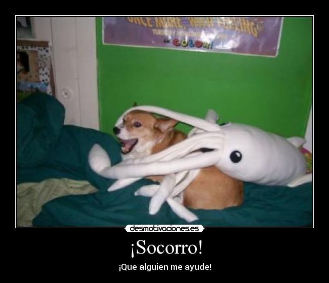 ¡Socorro! - ¡Que alguien me ayude!