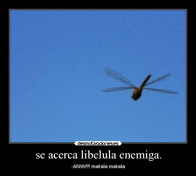 se acerca libelula enemiga. - -Ahhh!!!! matala matala