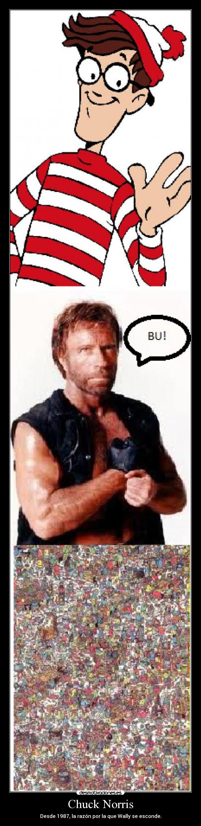 Chuck Norris -