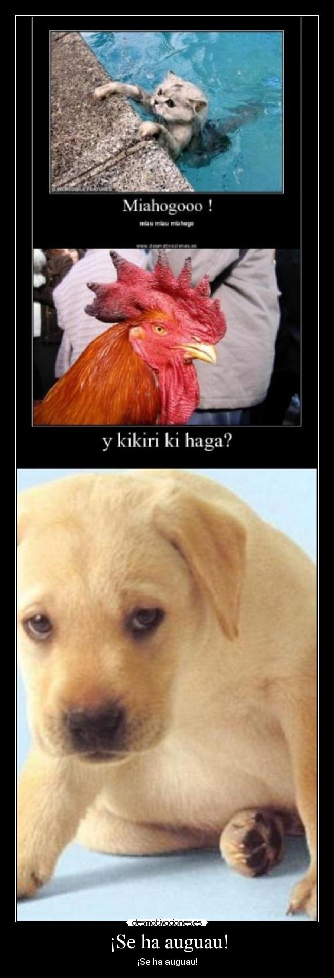 ¡Se ha auguau! - ¡Se ha auguau!