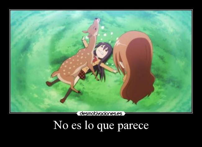 No es lo que parece -