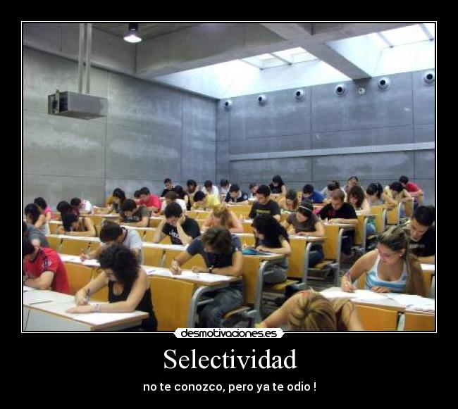 Selectividad - no te conozco, pero ya te odio !