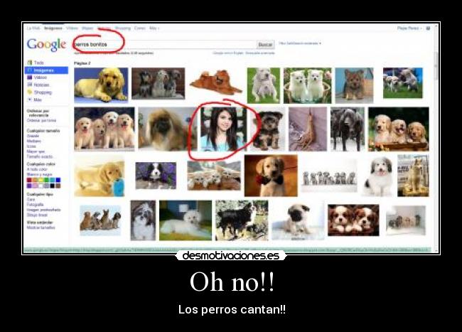 Oh no!! - Los perros cantan!!