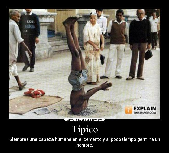 Típico - Siembras una cabeza humana en el cemento y al poco tiempo germina un hombre.